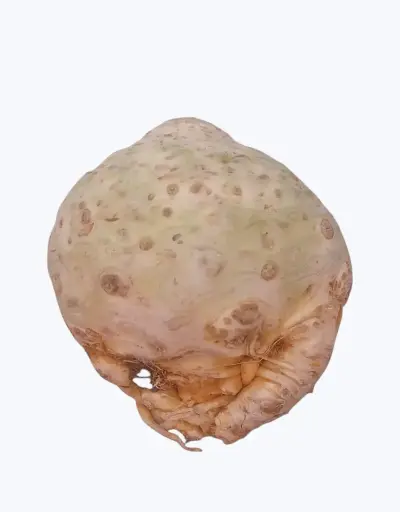 [1000911] Raiz de apio (unidad)