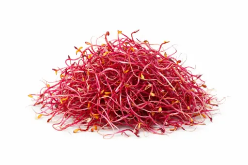 [1000923] Germinados de remolacha 50g