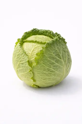 [1000924] Repollo normal