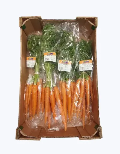 [1000947] Zanahoria en manojo