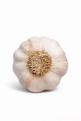 [1000957] Ajo castano