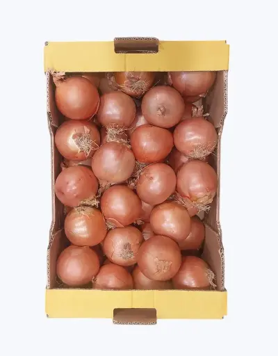 [1000999] Cebolla normal