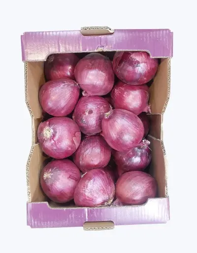 [1001003] Cebolla morada