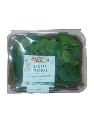 [1001062] Espinaca baby