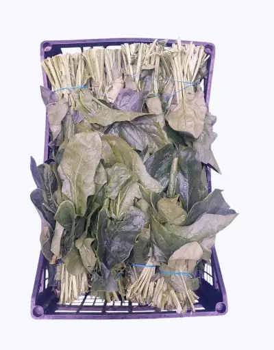 [1001065] Espinaca cocer manojo