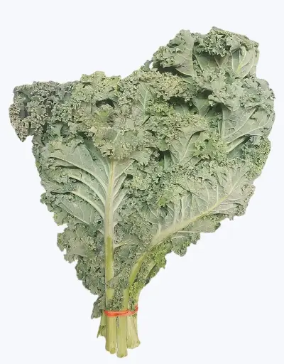 [1001068] Kale
