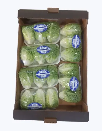 [1001072] Lechuga cogollo