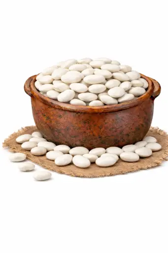 [1001116] Legumbre judion terciado