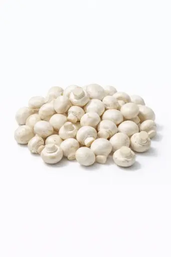 [1000942] Champiñon Mini
