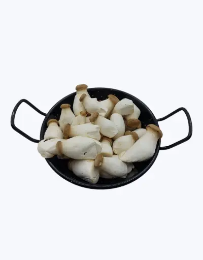 [1001144] Seta boletus cultivado mini