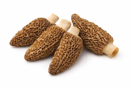 [1001151] Seta colmenilla deshidratada