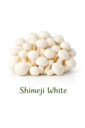 [1001165] Seta shimeji blanca 150g