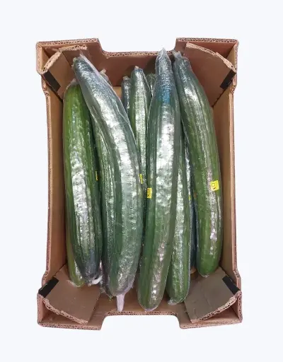 [1001181] Pepino filmado