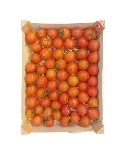 [1001191] Tomate bienmesabe