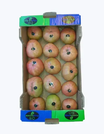 [1000584] Tomate Bio