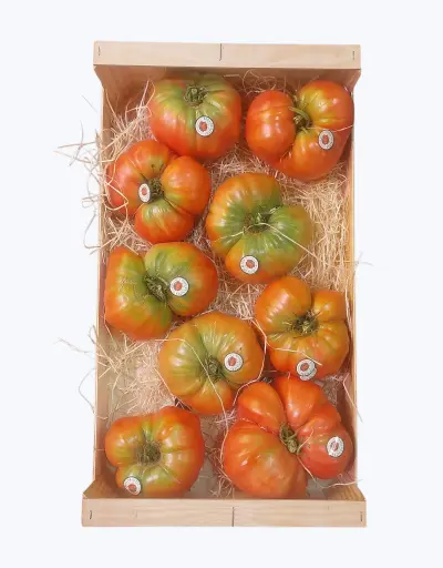 [1001215] Tomate de altea
