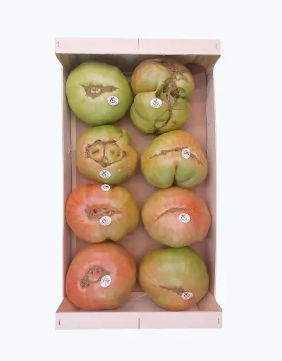 [1000618] Tomate de Navarra