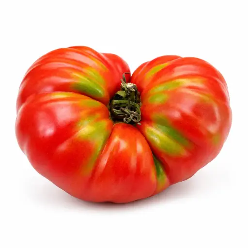 [1000618] Tomate de Navarra