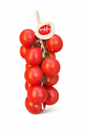 [1000620] Tomate de Penjar