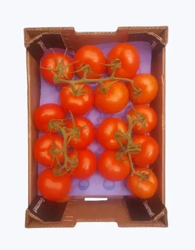 [1001235] Tomate de rama