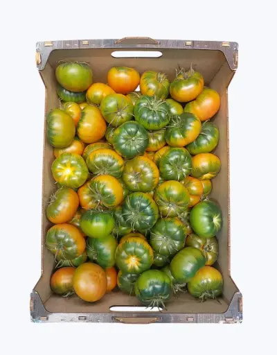 [1001261] Tomate joselito perfect