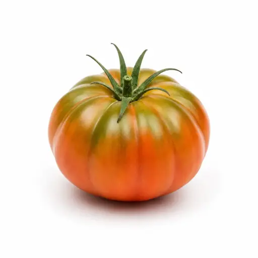 [1000654] Tomate Joselito Pinton
