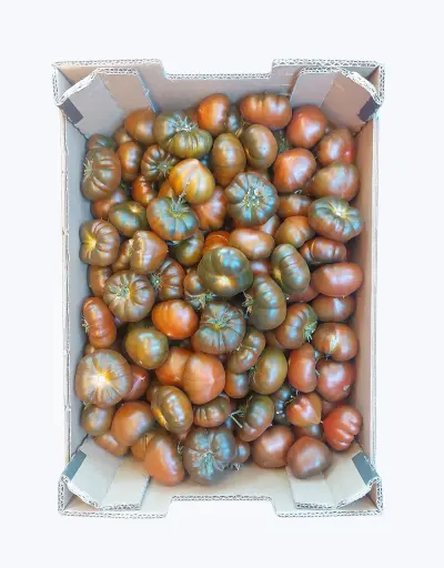 [1001289] Tomate raff negro
