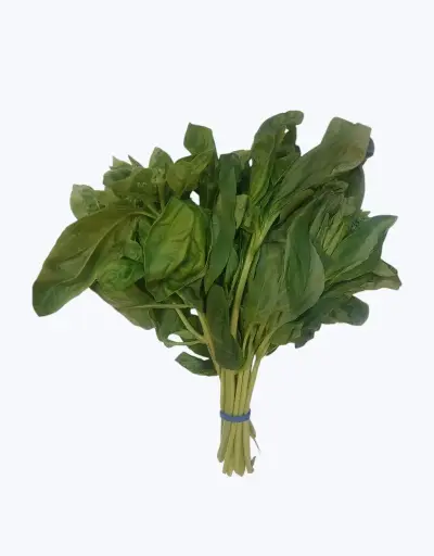 [1001607] Albahaca fresca