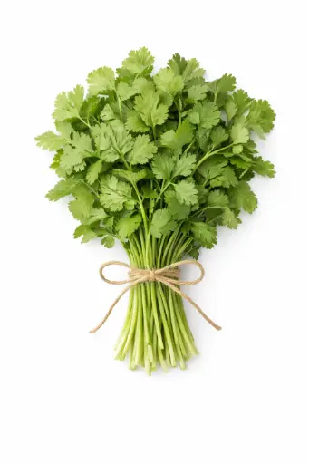 [1001611] Cilantro fresco