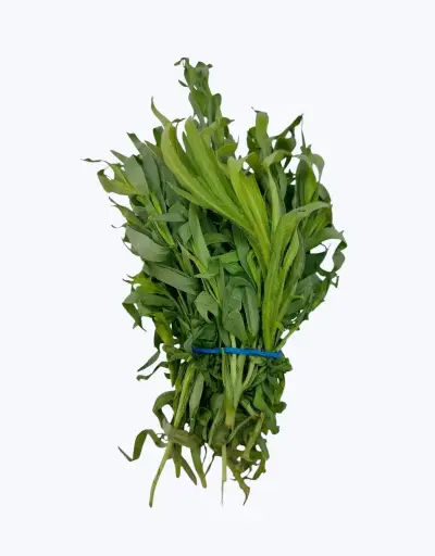 [1001613] Estragon fresco