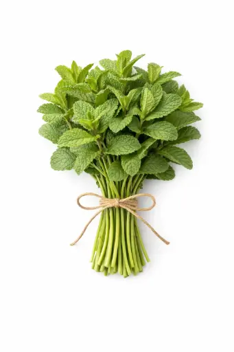 [1001614] Hierba buena fresca