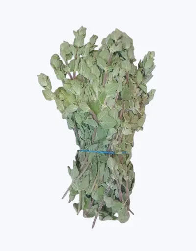 [1001625] Oregano fresco