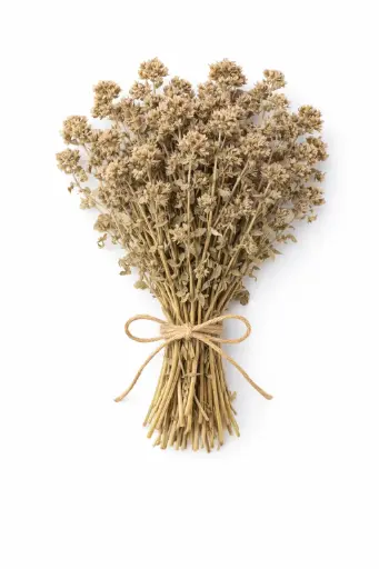 [1001626] Oregano silvestre en rama