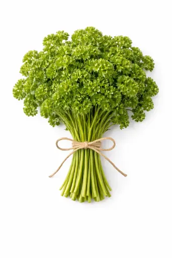 [1001628] Perejil rizado