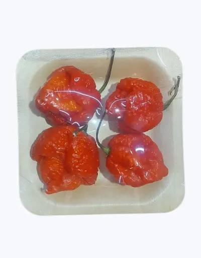 [1002677] Chile Carolina Reaper (unidad)