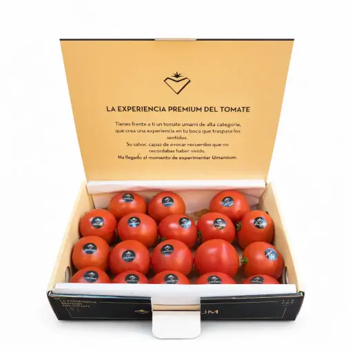 [1002875] Tomate Umamium Extra