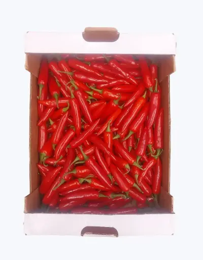 [1000864] Chile Serrano Rojo